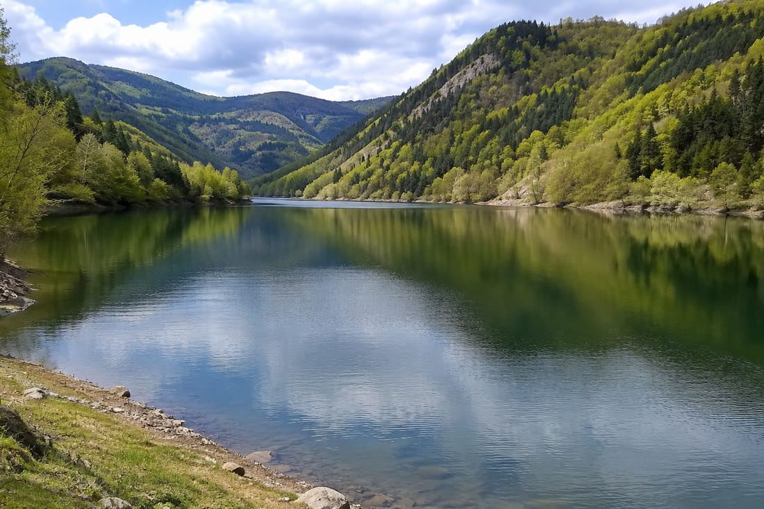 Lisinsko jezero između pošumljenih padina